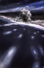 Reflexy/ Miroslav Pinďák/ KFA Brumov-Bylnice