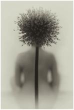 Petra Tomaštíková/ Tajemná/ Fotoklub Beseda Otrokovice